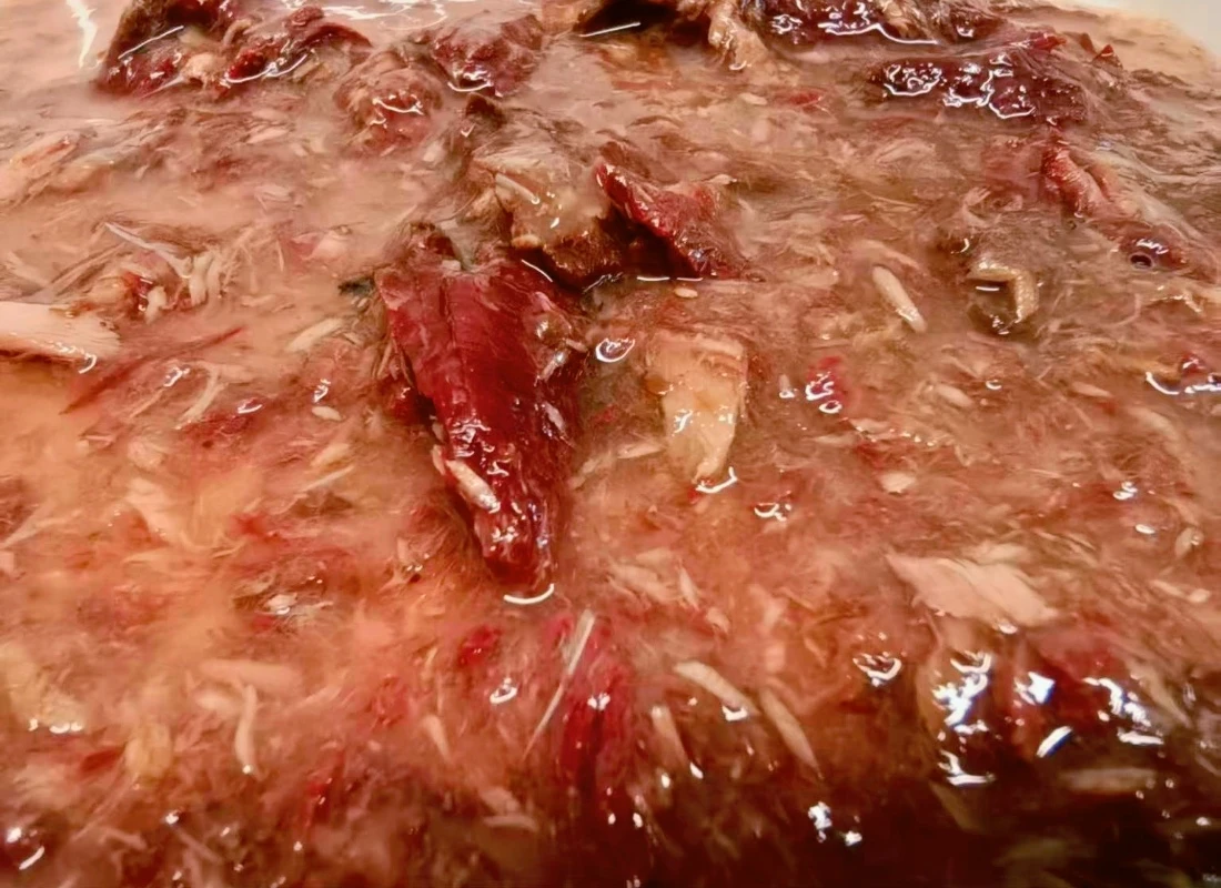 compressed-wet food compressed-wet food
